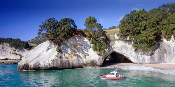 Cathedral Cove Scenic Tours Whitianga