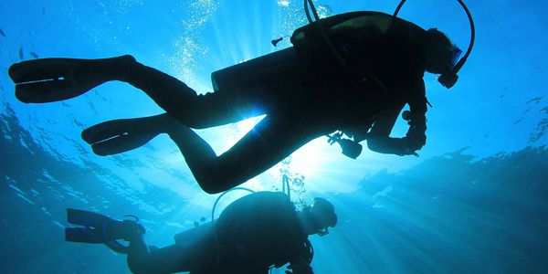 Dive Zone Whitianga