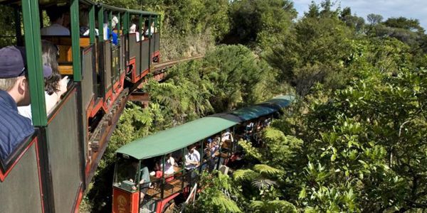 Driving Creek Railway Coromandel Peninsula