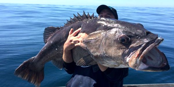 Epic Adventures Mercury Bay Whitianga