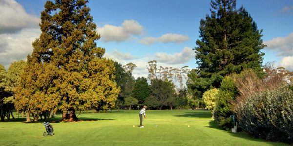 Mercury Bay Golf Course Whitianga Group Accommodation