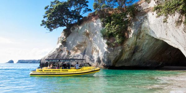 Ocean Leopard Tours Cathedral Cove